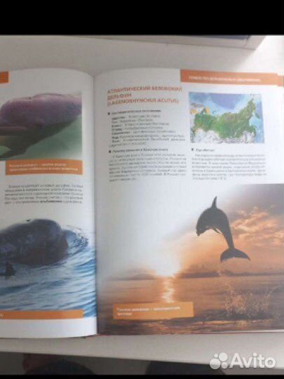 Детская энциклопедия