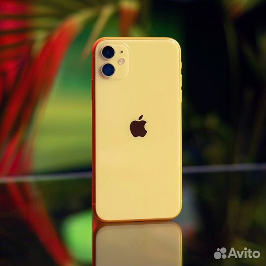 iPhone 11