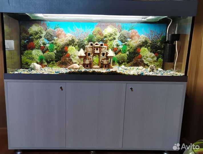 Аквариум