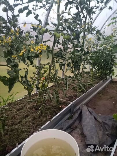 Перегной навоз земля