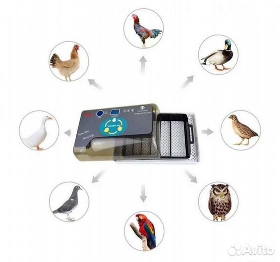 Инкубатор для яиц