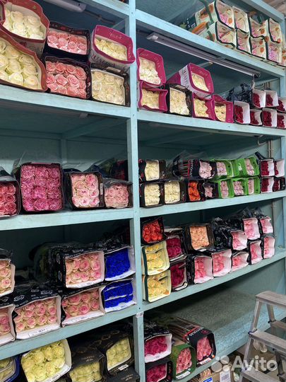 Розы эквадор