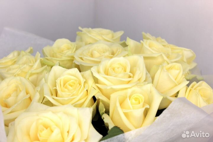 Букет роз. Розы 25 31 51 101