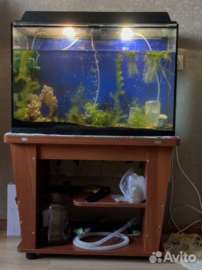 Аквариум