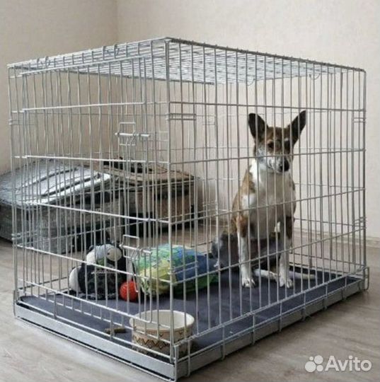 Клетка для домашнего питомца номер 3 новая