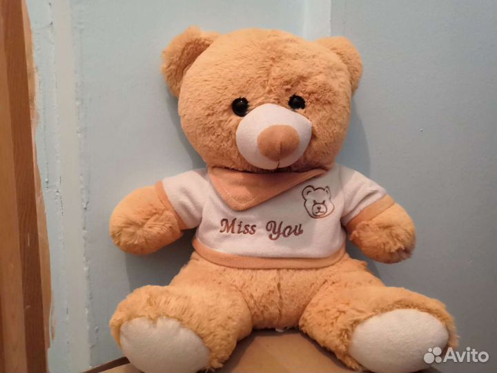 Мишутка 40 см