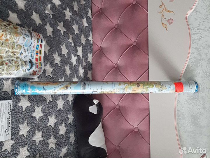 Настенная карта России