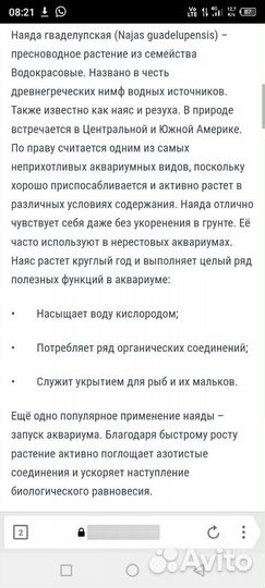 Аквариумные растения