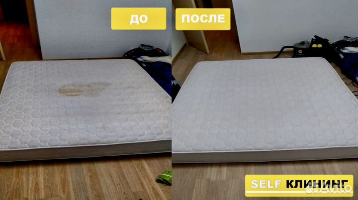 Аренда прокат моющий пылесос karcher