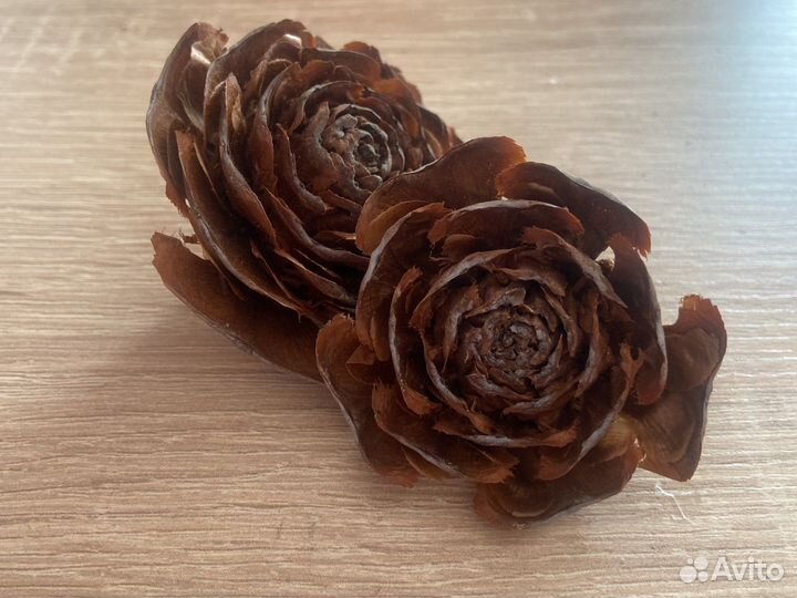 Шишки розочки