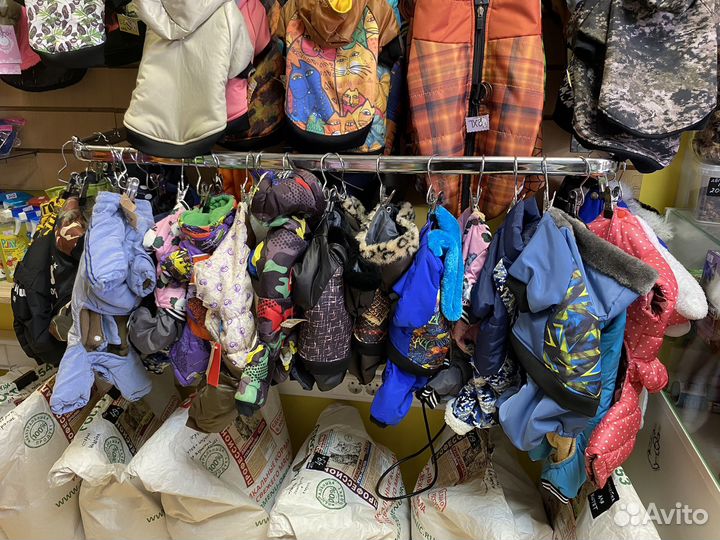 Одежда для собак