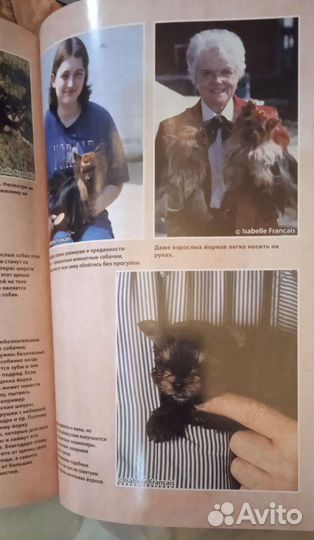 Йоркширский терьер для Чайников Большая книга