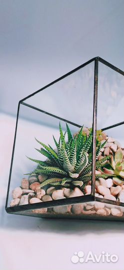Флорариум 