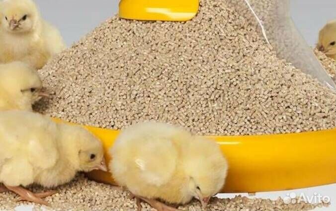 Комбикорм для бройлеров