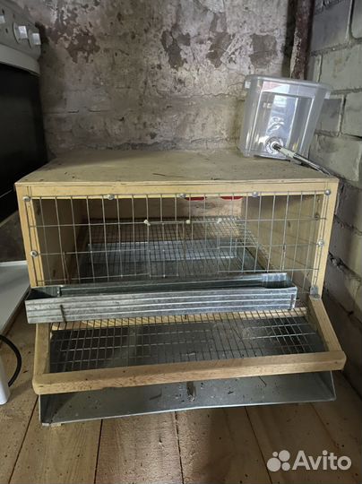 Клетка для перепелок с подачей воды