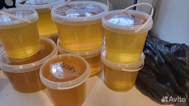 Мед липовый 2023