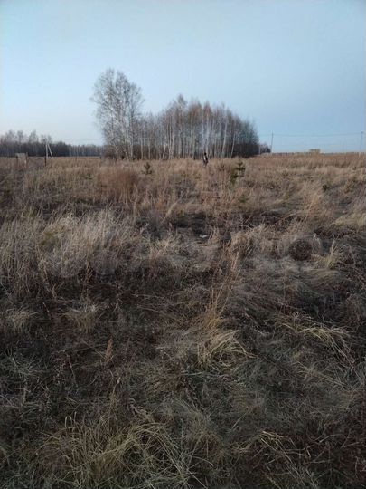 Участок 10 сот. (ИЖС)