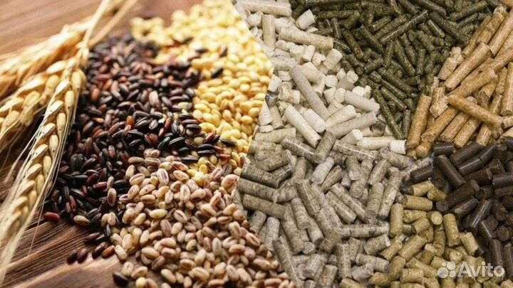 Комбикорм, Зерно на Горьковском