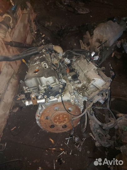 Двигатель 3л 1mz тойота харриер лексус rx300