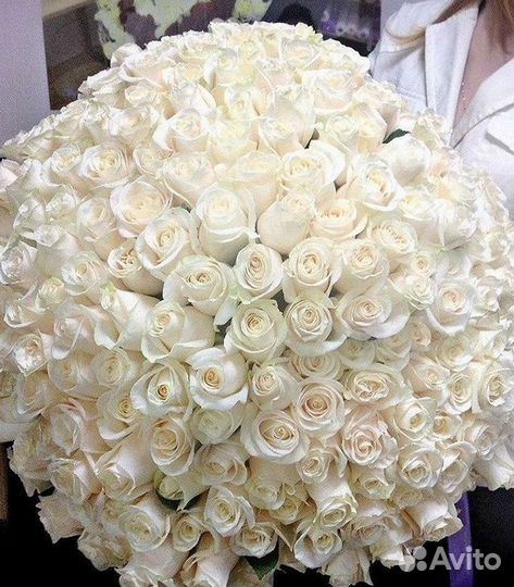 Высокие розы Гигантские розы Доставка цветов