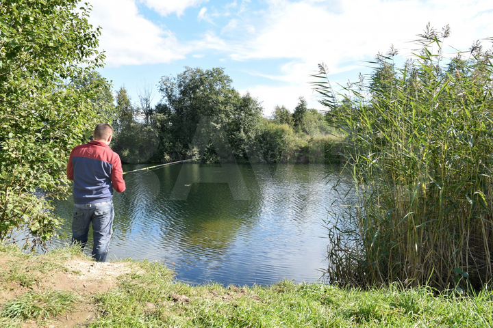 Участок 10,4 сот. (СНТ, ДНП)