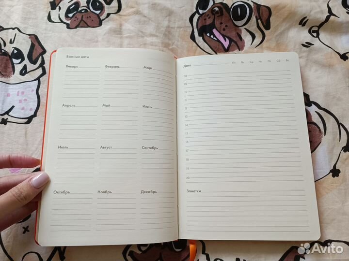 Ежедневник недатированный