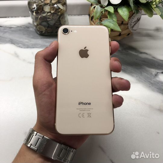 iPhone 8, 64 ГБ