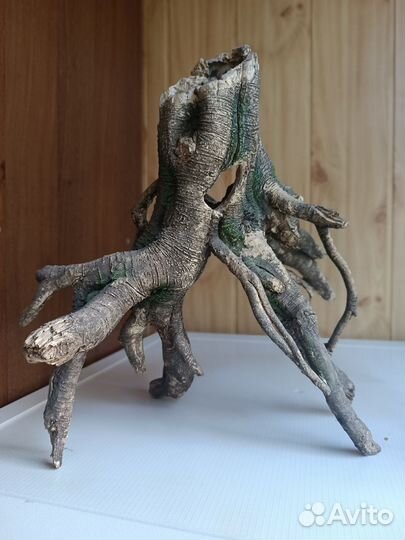 Коряга в аквариум