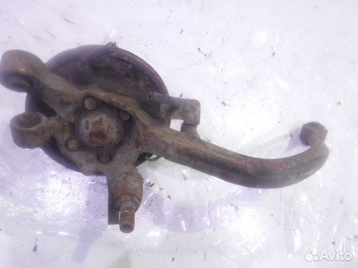 Кулак задний правый