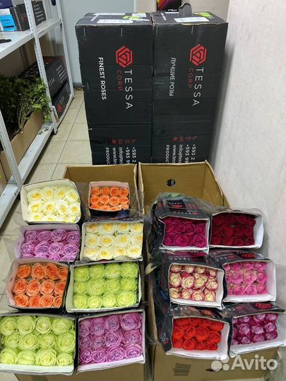 Прибыльный магазин цветов в аренду