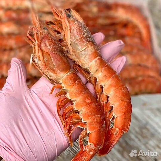 Лангустины крупные