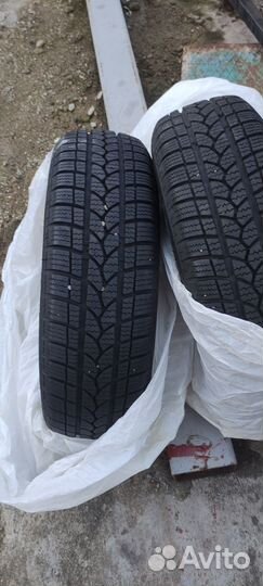 Tigar Winter 1 175/70 R13