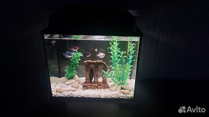 Аквариум 30л