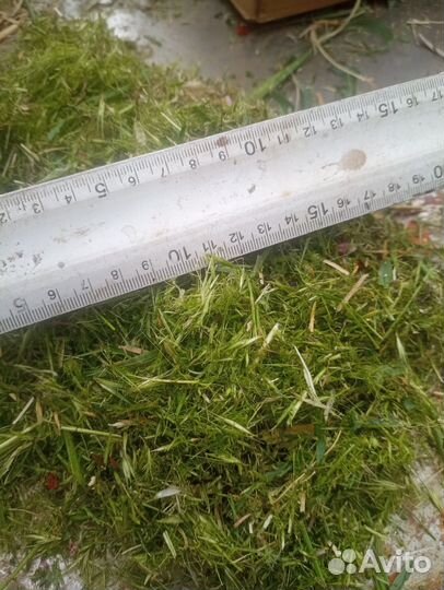 Траворезка измельчитель грибы корм цыплята утки