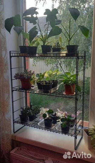 Полки стеллажи для цветов