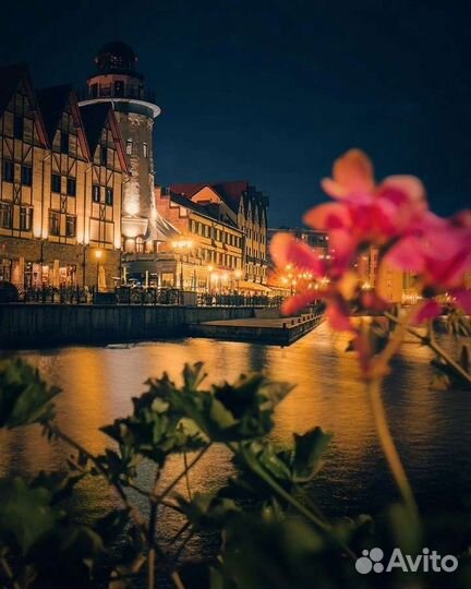 Экскурсии и трансфер по Калининградской области