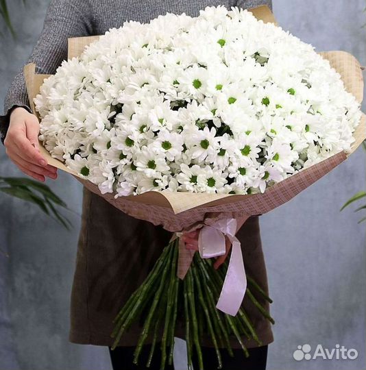 Хризантема. Букеты Цветы доставка