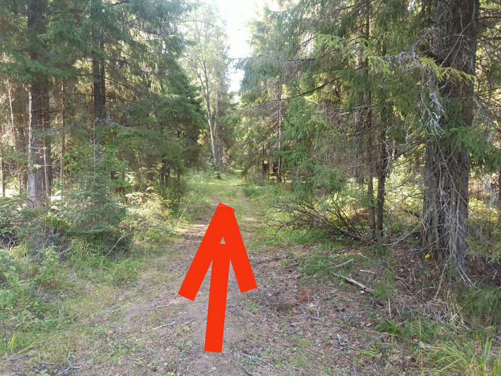 Участок 5 га (СНТ, ДНП)