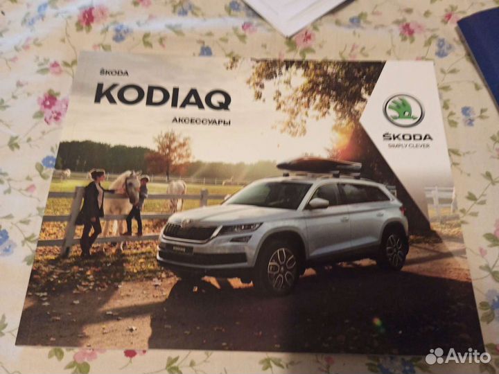 Каталог моделей и аксессуары Шкода Kodiaq Skoda