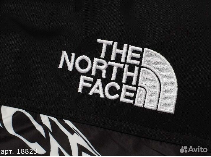 Зимняя Куртка The North Face Черная