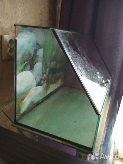 Террариумы