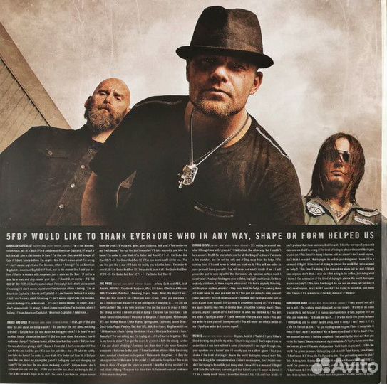 Виниловая пластинка Five Finger Death Punch – Amer