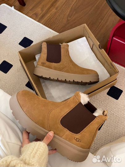 Угги мужские Ugg