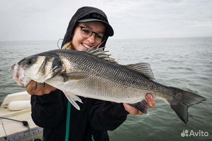 Аренда удочек, спинингов