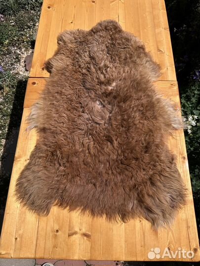 Овечья шкура с длинным мехом