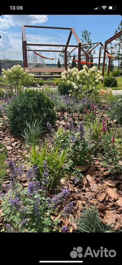 Кора Сосны (Мульча)