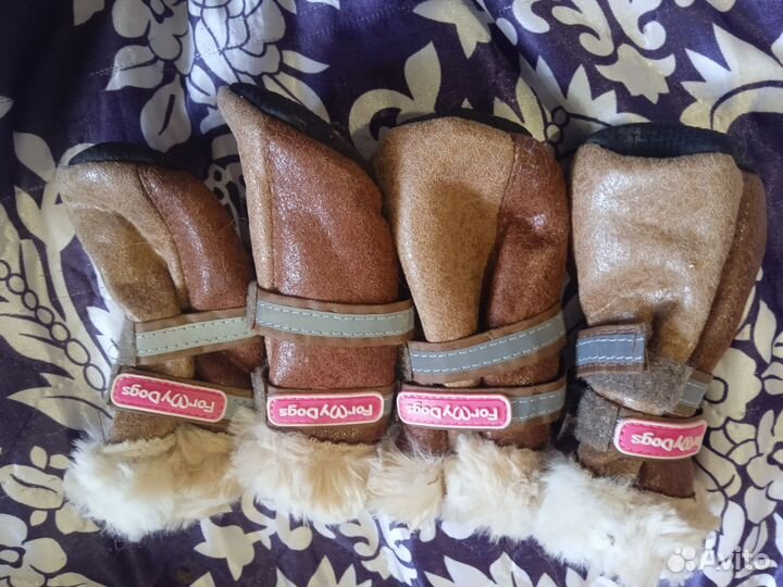 Зимняя обувь для собак