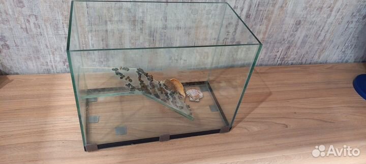 Аквариум для черепах