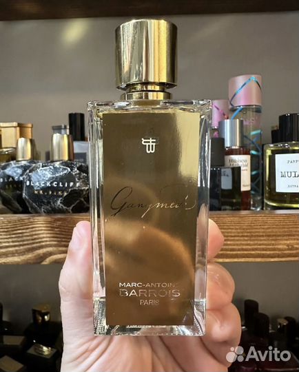 Marc antoine barrois ganymede распив