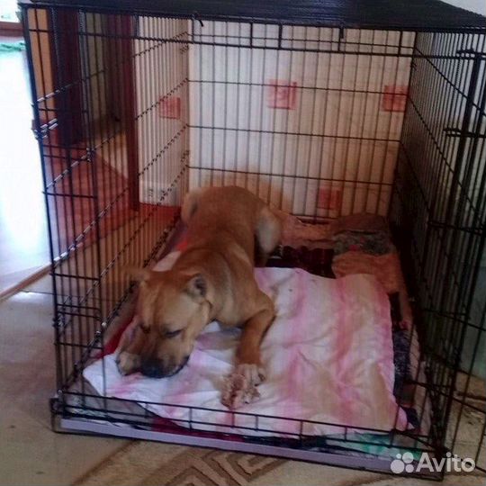 Клетка для собак